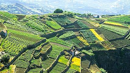 visitmadeira